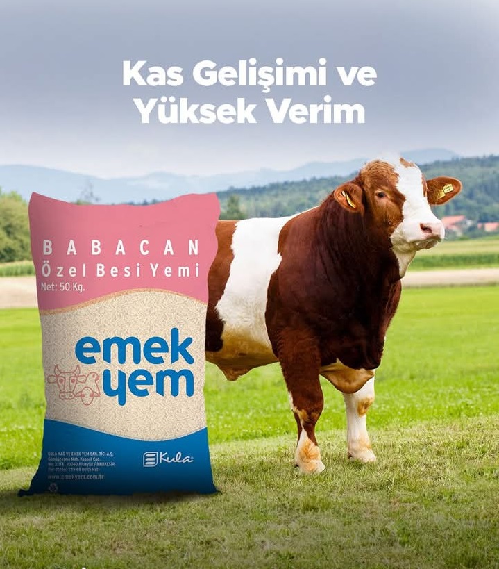Selocan Ticaret Emek Yem